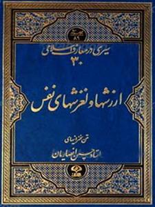 سیری در معارف اسلامی 30 - (ارزش ها و لغزش های نفس)