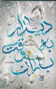 دیدار به وقت باران - داستان هایی از امداد و کرامات امام زمان نسبت به منتظران