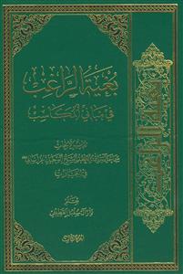 بغیه الراغب فی مبانی المکاسب - ج 3