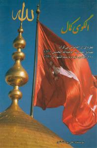 الگوی کمال ـ قطره ای از اقیانوس بی کران فضایل حضرت ابا عبدالله الحسین (ع)