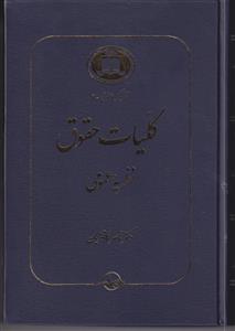 کلیات حقوق نظریه عمومی