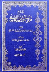 شرح قطر الندی و بل الصدی جدید