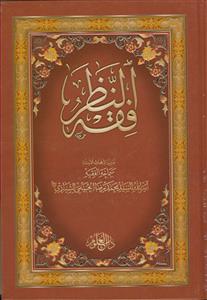 فقه النظر