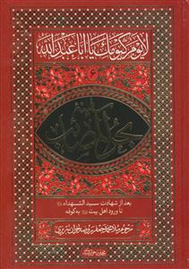 سفینه بحر المصائب ج6 - بعداز شهادت سیدالشهدا تا ورود اهل بیت به کوفه