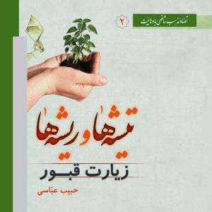 تیشه ها و ریشه ها - ج 2 (زیارت قبور)