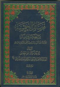 فضائل الخمسه من الصحاح السته - 3 جلدی